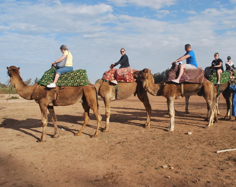 Camel Sunset & Barbecue: A Must-Do Adventure - Voyage Venture